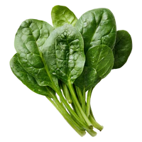 Spinach